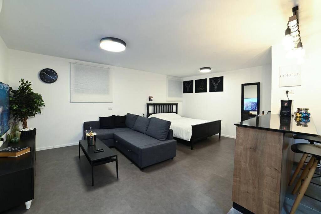 Loft Hagalil *