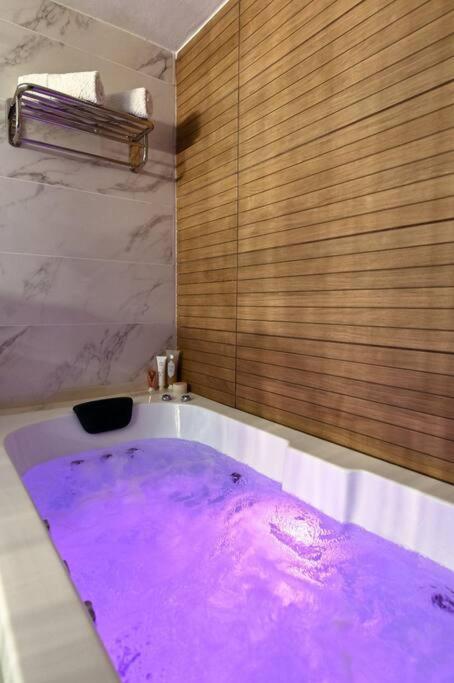 Loft Hagalil Apartment *